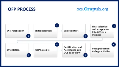 Master the OFP Language with our Comprehensive Glossary | Boost Your  Trading Knowledge