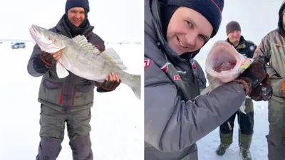 Огромная Рыба: последние новости на сегодня, самые свежие сведения | 63.ru  - новости Самары