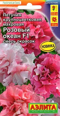 Топ-16 летних открытых бассейнов и аквапарк в Красноярске в 2023 году: цены  и подробности : REDOMM.RU