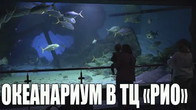 Океанариум в составе ТРЦ | Планета Нептуна - строительство, проектирование  океанариумов