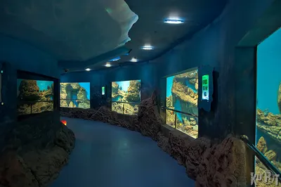 RIO Oceanarium in Moscow, Russia