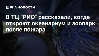 5 мая - Океанариум + Экзоопарк «РИО» - Свежие новости в Александрове, в  стране и мире