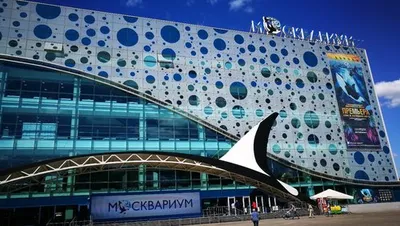 Москвариум\", океанариум, центр океанографии и морской биологии на ВДНХ в  Москве | KidsReview.ru