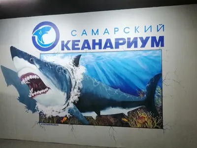 Самара+океанариум, однодневный тур (через Димитровград) — экскурсия в  Ульяновске
