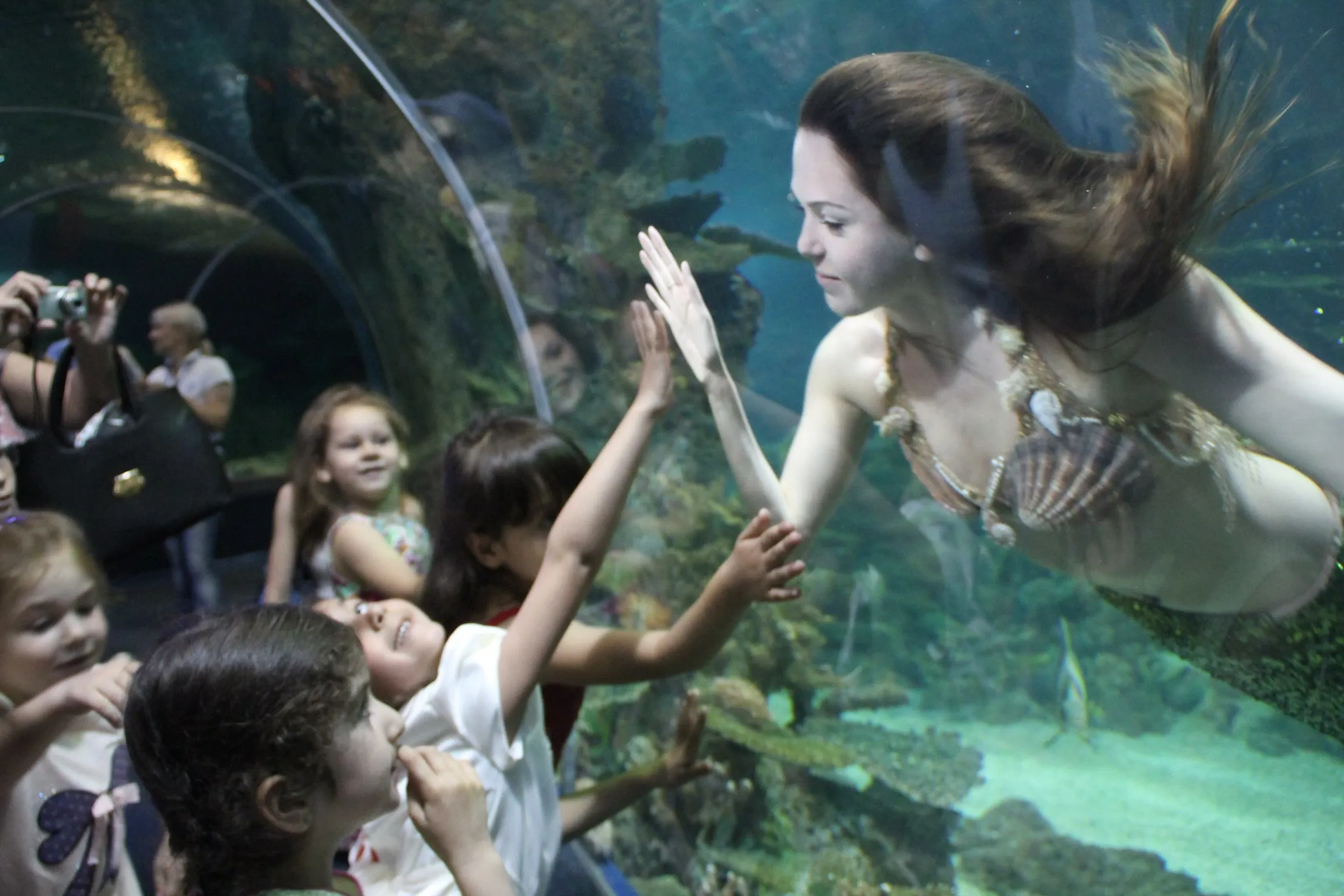 Океанариум \"Sochi Discovery World Aquarium\" - достопримечательность Сочи Океанариум \"Sochi Discovery World Aquarium\" - достопримечательность Сочи