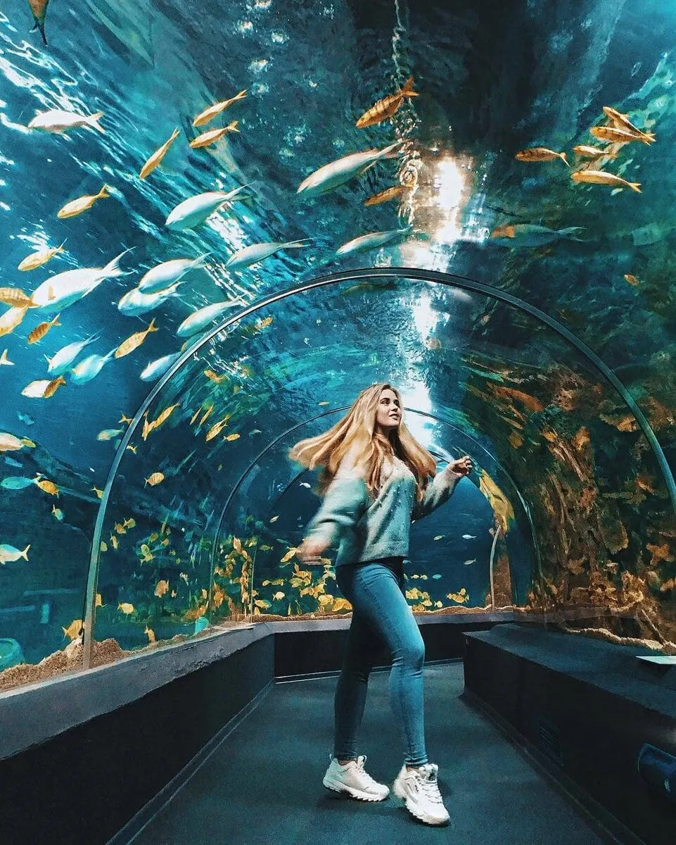 MAMADO - Sochi Discovery World Aquarium, океанариум, кафе, Сочи MAMADO - Sochi Discovery World Aquarium, океанариум, кафе, Сочи