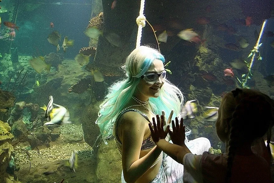 Океанариум Sochi Discovery World Aquarium в Адлере - «Не впечатлил. Цена очень завышена. Небольшая территория!» | отзывы Океанариум Sochi Discovery World Aquarium в Адлере - «Не впечатлил. Цена очень завышена. Небольшая территория!» | отзывы