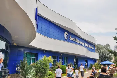 Oceanarium Sdwa | Adler