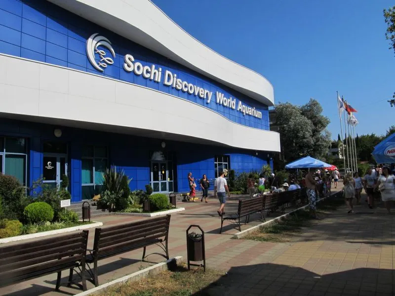 Океанариум Sochi Discovery World Aquarium, Адлер. Цены 2024, расписание, официальный сайт, фото, видео, как добраться, отели – Туристер.ру Океанариум Sochi Discovery World Aquarium, Адлер. Цены 2024, расписание, официальный сайт, фото, видео, как добраться, отели – Туристер.ру