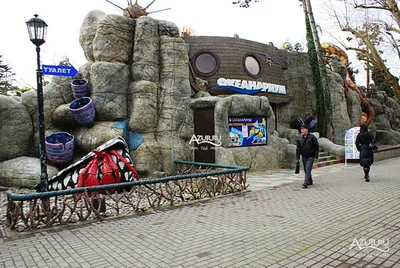 Океанариум Sochi Discovery World Aquarium - Кукарта.ру