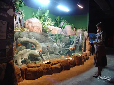 Океанариум \"Sochi Discovery World Aquarium\" - достопримечательность Сочи