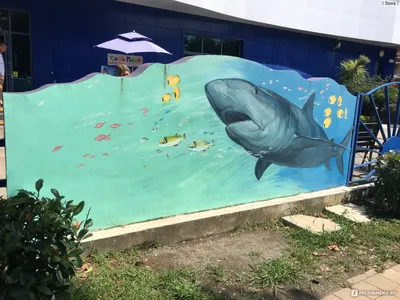 г. Сочи. Входной билет в большой Адлерский Океанариум для детей. —  покупайте на Auction.ru по выгодной цене. Лот из Омская область, г. Омск.  Продавец esapit. Лот 234863103521132