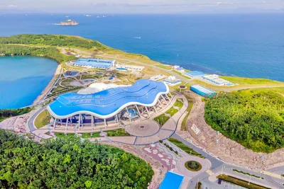 океанариум ocean park, океанариум в сочи, московский океанариум, океанариум  анталия, океанариумы, Свадебный фотограф Москва