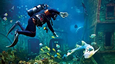 🦈ВОРОНЕЖСКИЙ ОКЕАНАРИУМ Неделю назад мы посетили океанариум в Воронеже. Он  находится в торговом центре \"Град\". В океанариуме очень много… | Instagram