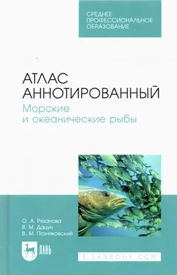 Пазл Eurographics 1000 деталей, элементов: Морские рыбы - купить с  доставкой по выгодным ценам в интернет-магазине OZON (924993223)