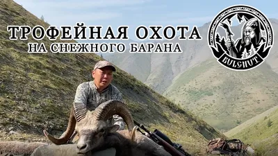 Охота на лося зимой и осенью с лайками по выгодной цене