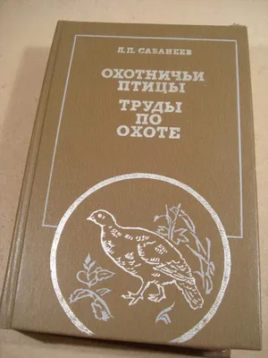 Хищные птицы нашей страны. Часть 3. Орлы. Степной орел. | Пикабу