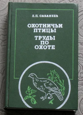 Хищные птицы устроили пир на трассе в Хакасии