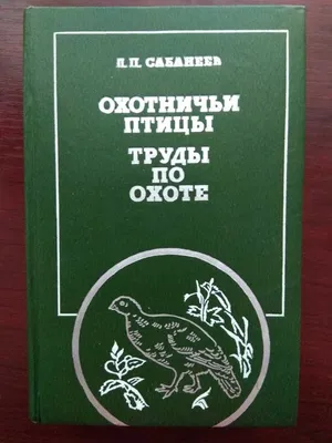 Кутузов и Исбъерн: новые хищные птицы работают в Экотехнопарке в Междуречье  » Новости Мурманска и Мурманской области