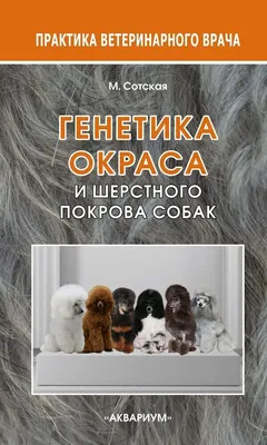 Топ - 7 самых ярких окрасов собак | Всё о пёсиках | Дзен