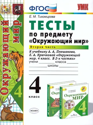 Книга Познаем окружающий мир для детей 6-7лет Ломоносовская школа купить по  цене 221 ₽ в интернет-магазине Детский мир