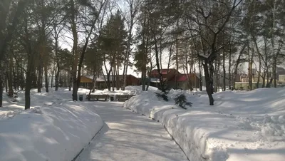 Фото: Чёртово городище, достопримечательность, Новосибирск, Октябрьский  район — Яндекс Карты