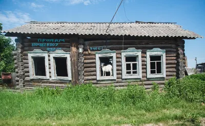 Шайтан-озеро и Инцисс. Омская область - Фото