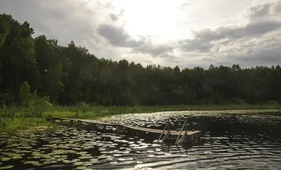 Что спрашивают чаще всего об Окунево | Омское отделение ППЛ