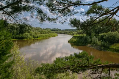 Отдых в Муромцевском районе, краю легенд и Место силы