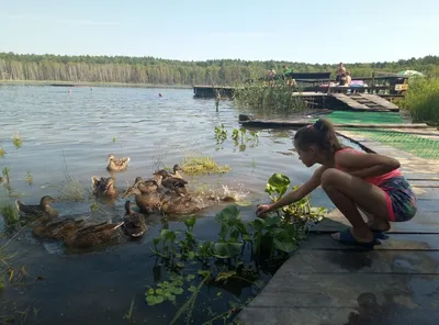 Деревня Окунево, Муромцевский район, Омская область - «Окунево - Пуп Земли,  спаси нас от суеты! Место Силы для верующих и атеистов.» | отзывы