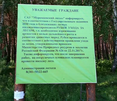 Омск Здесь - Окунево ☘️ Омичи, а где вы уже отдыхали этим летом? Есть ли у  вас любимые места в Омской области? | Facebook