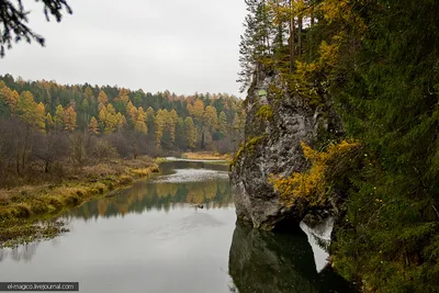 Природный парк Оленьи ручьи