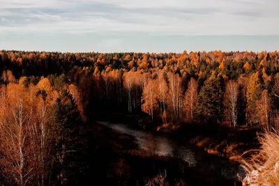 Природный парк «Оленьи ручьи» | Шадринский политехнический колледж