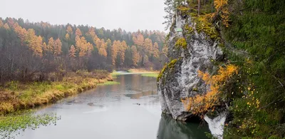 Оленьи Ручьи, Бажуково: лучшие советы перед посещением - Tripadvisor