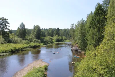 Природный парк-заповедник Оленьи ручьи || цена 12 000 руб.