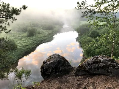 Природный парк Оленьи ручьи - отзывы, фото, цены, телефон и адрес -  Развлечения - Екатеринбург - Zoon.ru