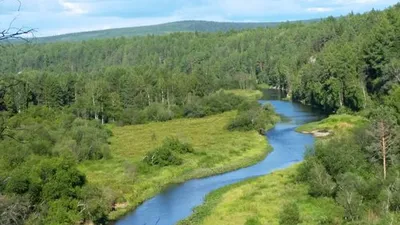 Волшебный день в природном парке «Оленьи ручьи» 🧭 цена экскурсии 5200  руб., 9 отзывов, расписание экскурсий в Екатеринбурге