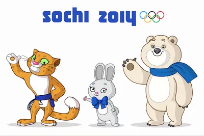 Россия потеряла первое место в медальном зачёте Олимпиады в Сочи – что  стряслось? - Чемпионат