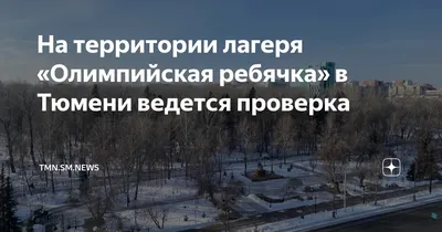 Смерть ребенка в поезде \"Томск-Адлер\": дети из ЛНР ехали из тюменского  лагеря \"Олимпийская Ребячка\"