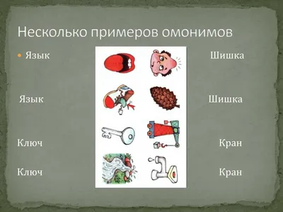 Омонимы и многозначные слова. Как отличить многозначные слова от омонимов?  | Ваш Учитель | Дзен