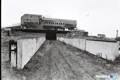 Омск-Фёдоровка в 90-е: перестрелка, коммерсант с Востока и американские  инвесторы - 22 августа 2018 - НГС55