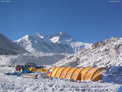 Скандал кафе эверест омск - 93 фото