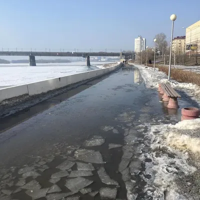 Омские приключения - экскурсионный тур в Омск для школьников -  Экскурсионные туры для школьников в Сибирь