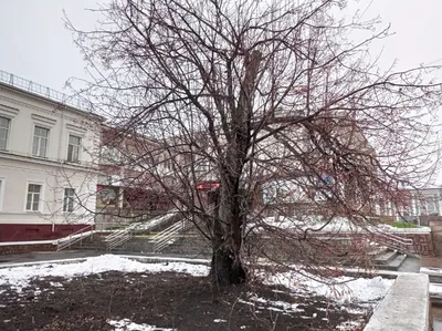 Один из самых солнечных городов страны»: как я живу в Омске