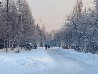 16 декабря в Омске откроется новогодний проект «Зимний Любинский» |  КУЛЬТУРА | АиФ Омск