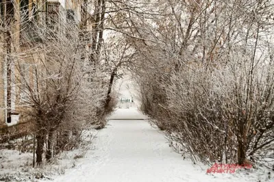 Омск, улица тарская, зима, рассвет, …» — создано в Шедевруме