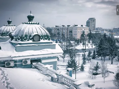 Пушистые хлопья и деревья в снегу. В Омск пришла зима | Фотогалерея |  ОБЩЕСТВО | АиФ Омск