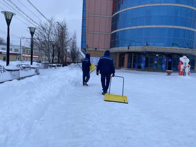 В крупнейшем парке Омска заработали зимние горки - Общество