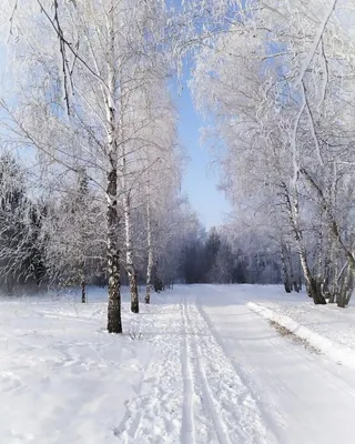 Где погулять в Омске зимой?