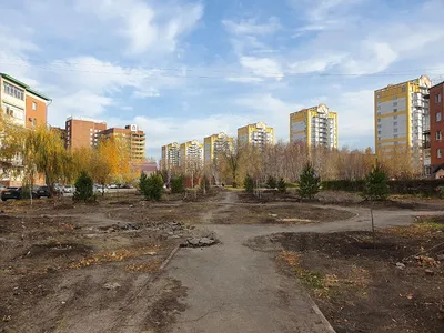 Один из самых солнечных городов страны»: как я живу в Омске